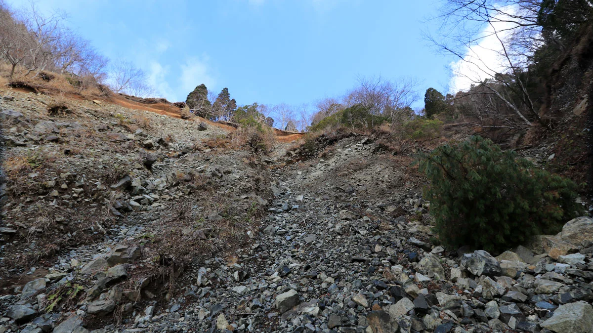 鍋割峠手前の斜面