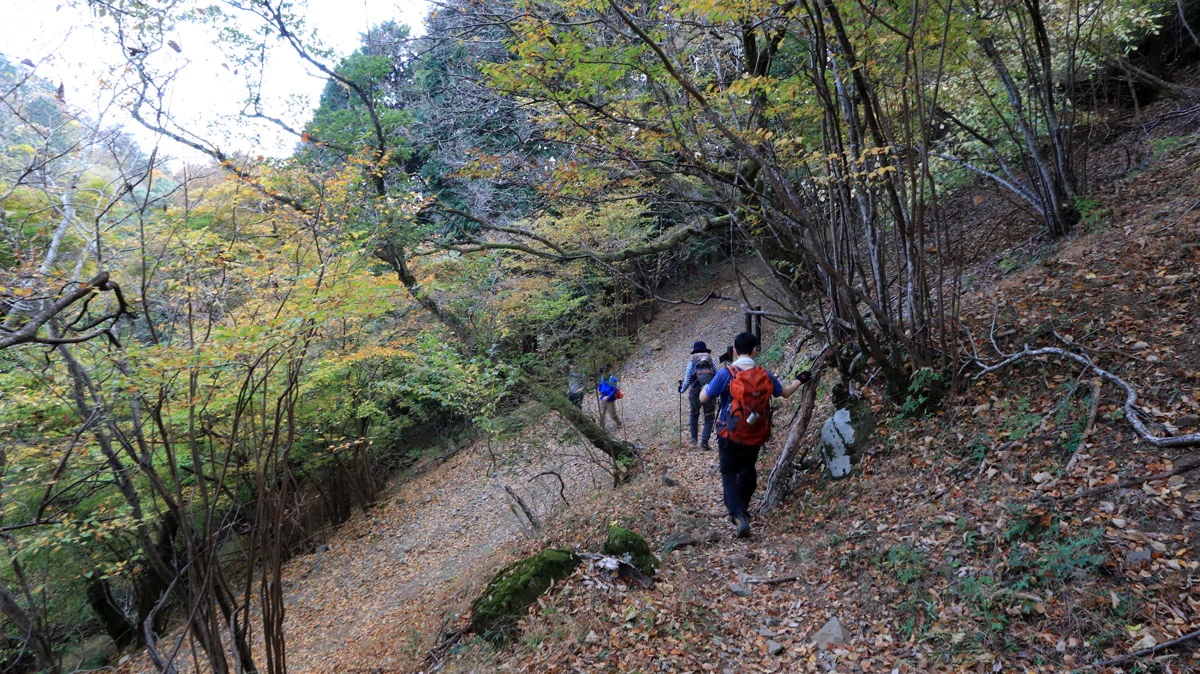 大倉コースと合流地点