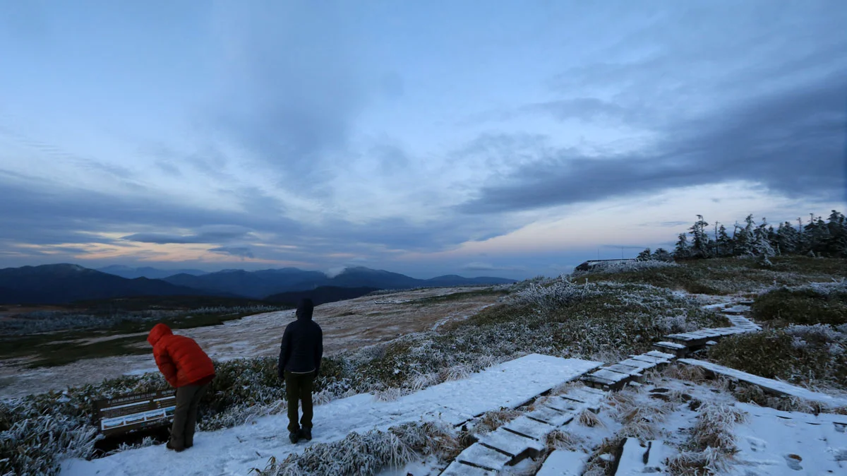 早朝の苗場山の湿原