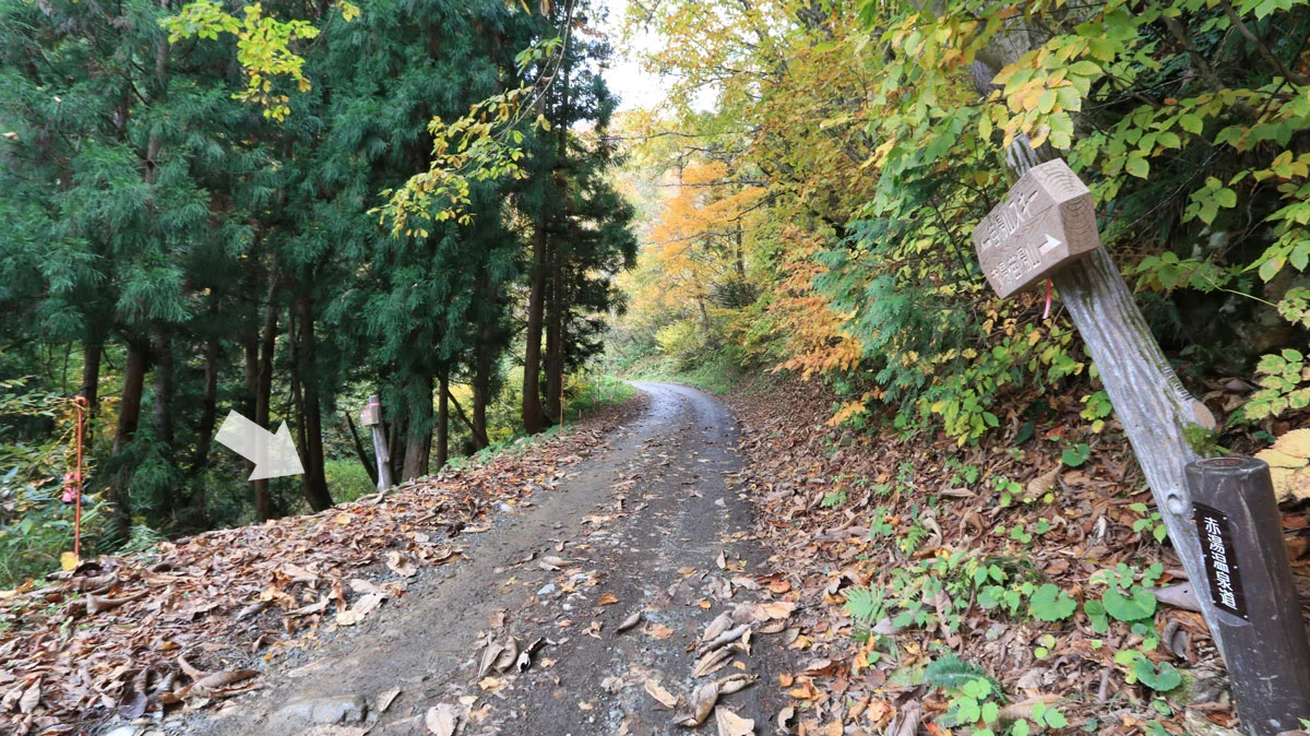 元橋に抜ける山道入口