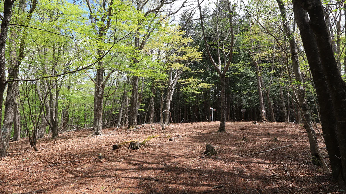 奈良倉山の山頂