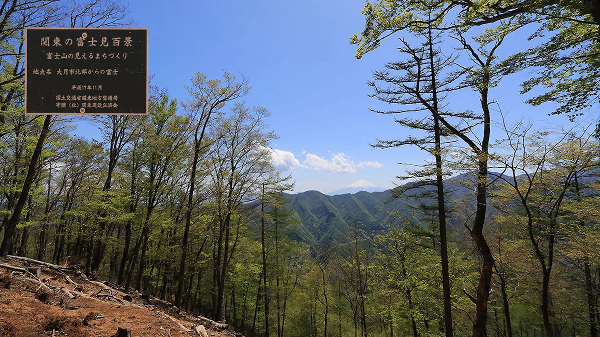 鶴寝山からの富士山