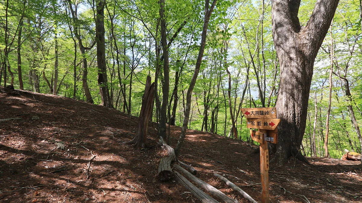 大マテ山と小菅の湯との分岐