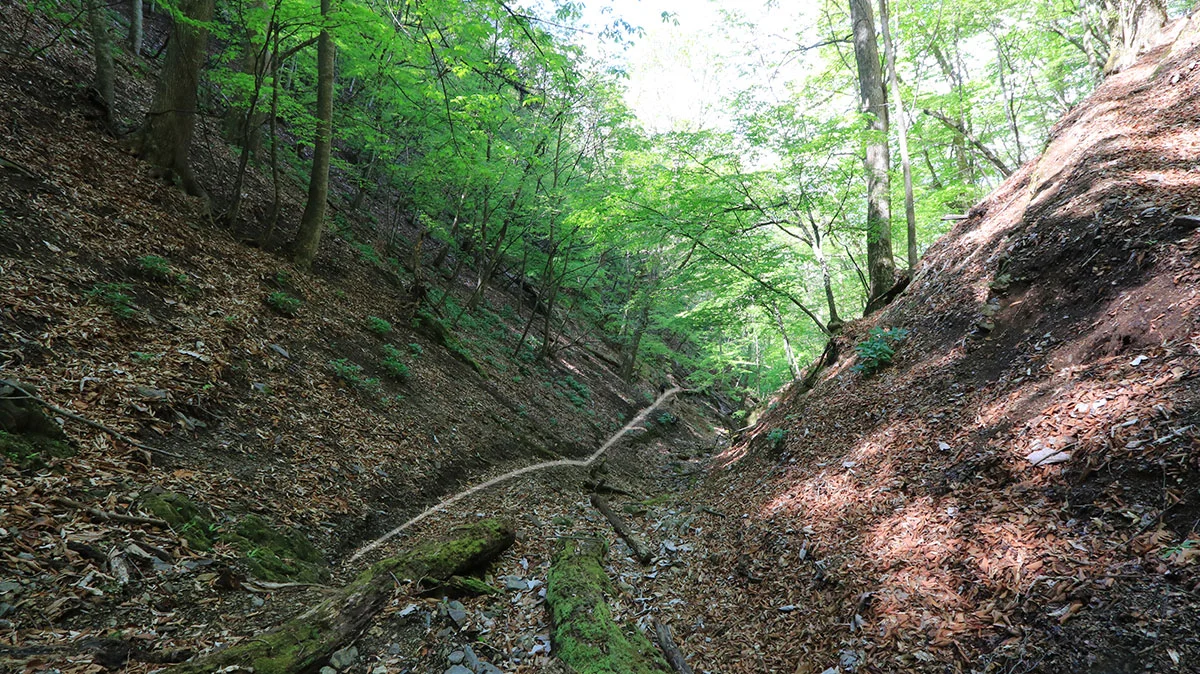 沢地形の道