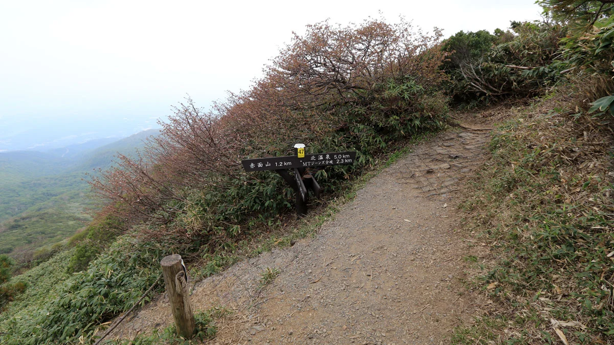 赤面山分岐