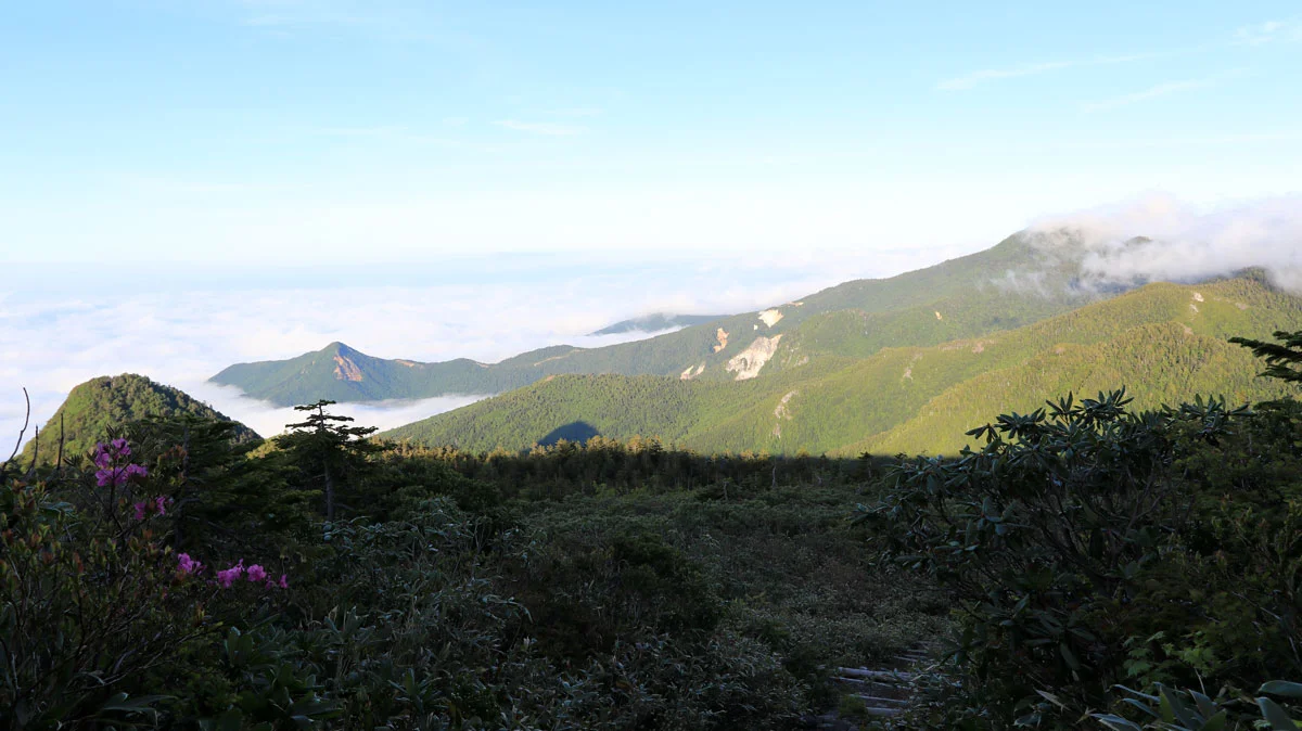 金明水までの道