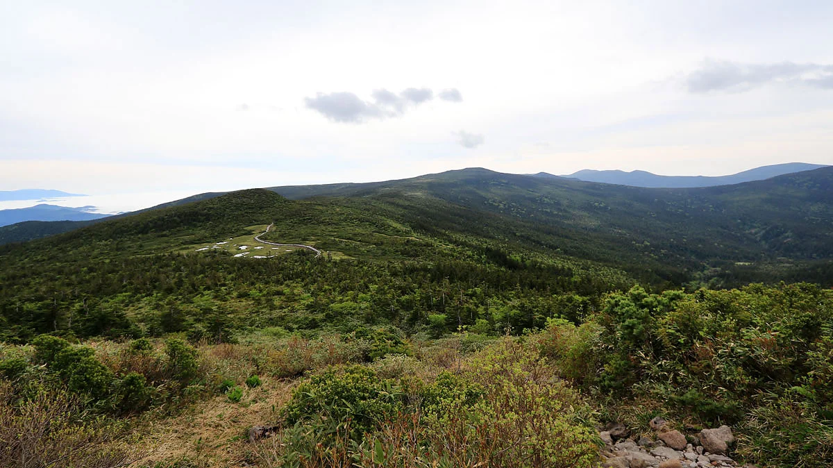 歩いてきた道と弥兵衛平湿原