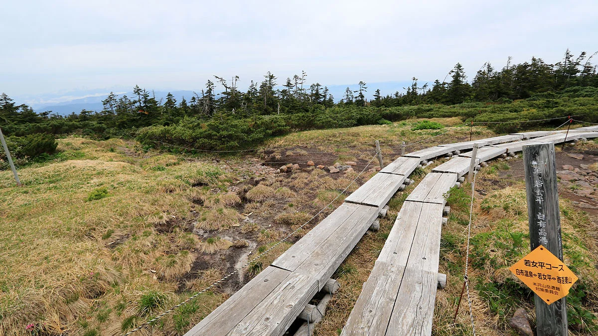 若女平コース分岐