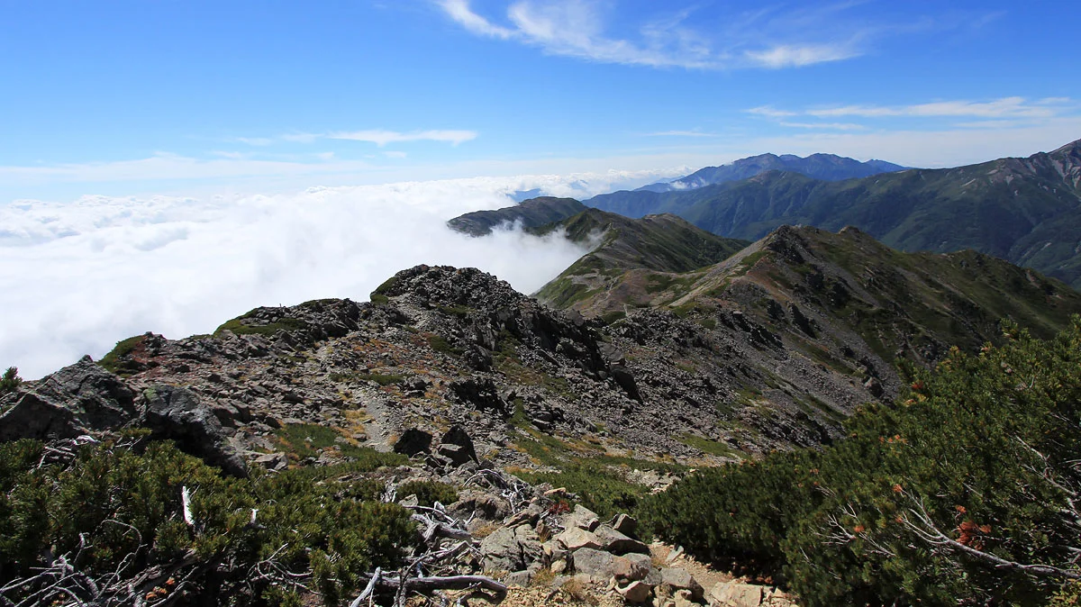 白峰南嶺の稜線