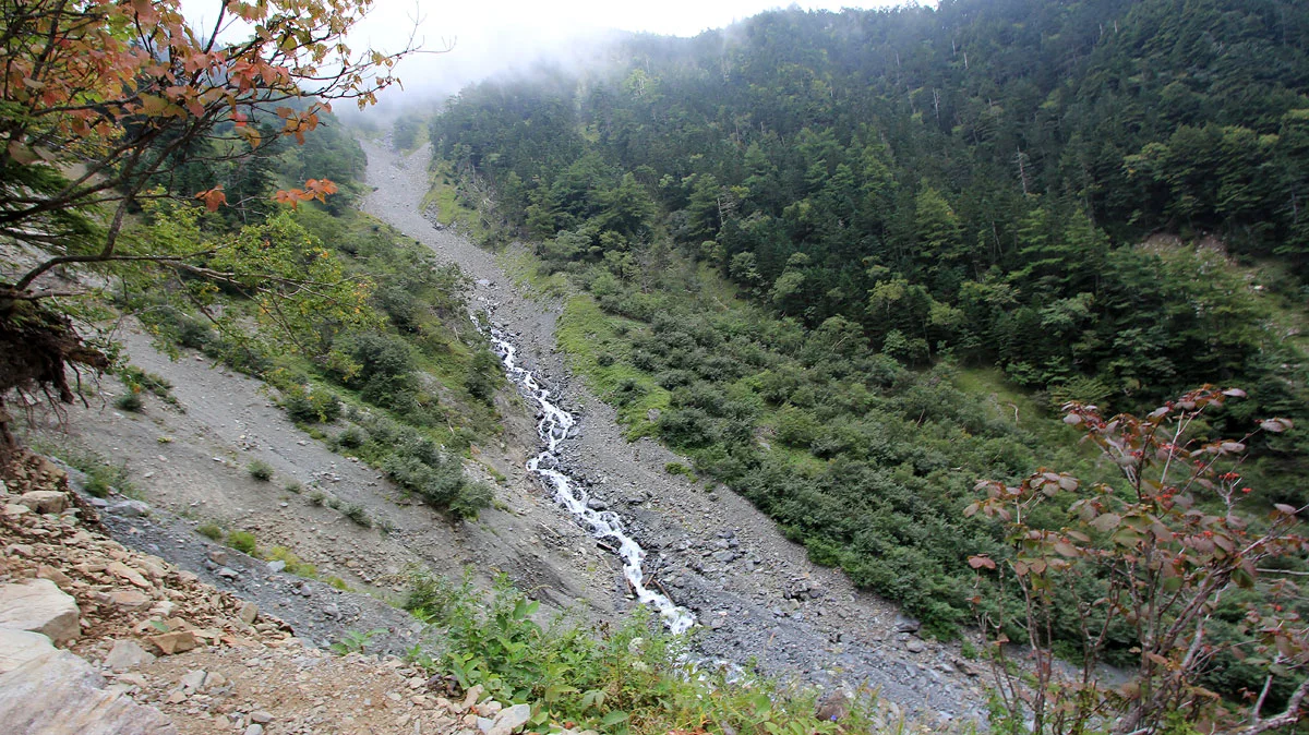 ヨモギ沢と合流
