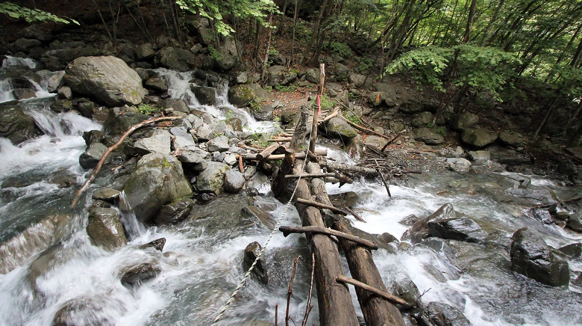 沢に掛けられた橋