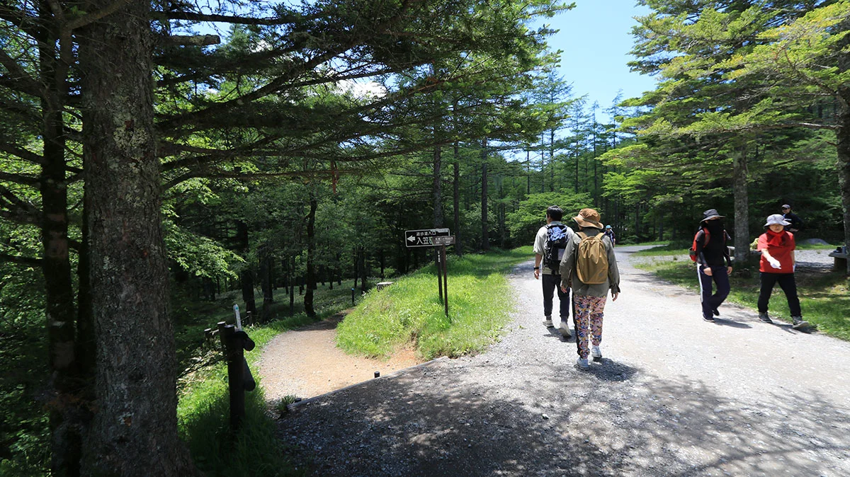 入笠山の山頂へ向かう道