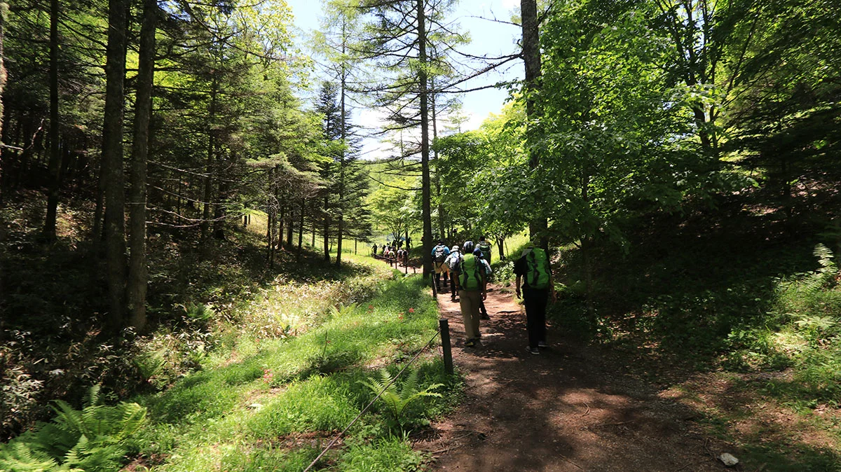 小川が流れる小道