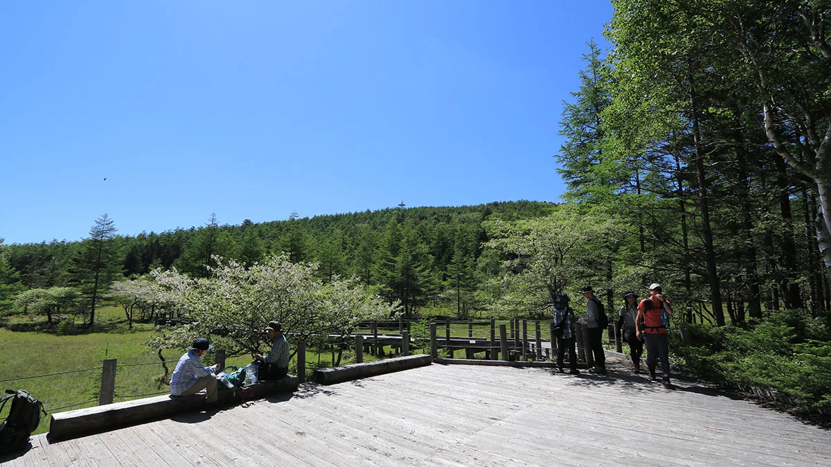大阿原湿原の展望台
