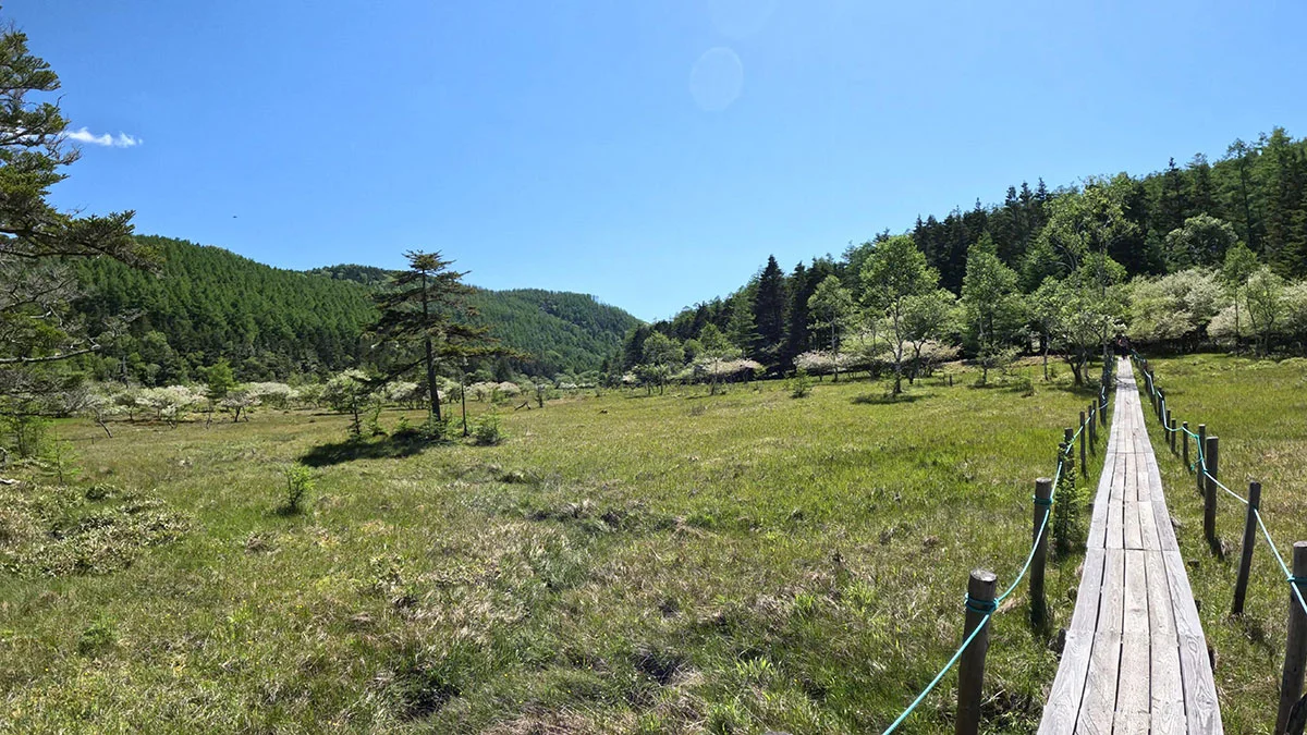 大阿原湿原の周回コース