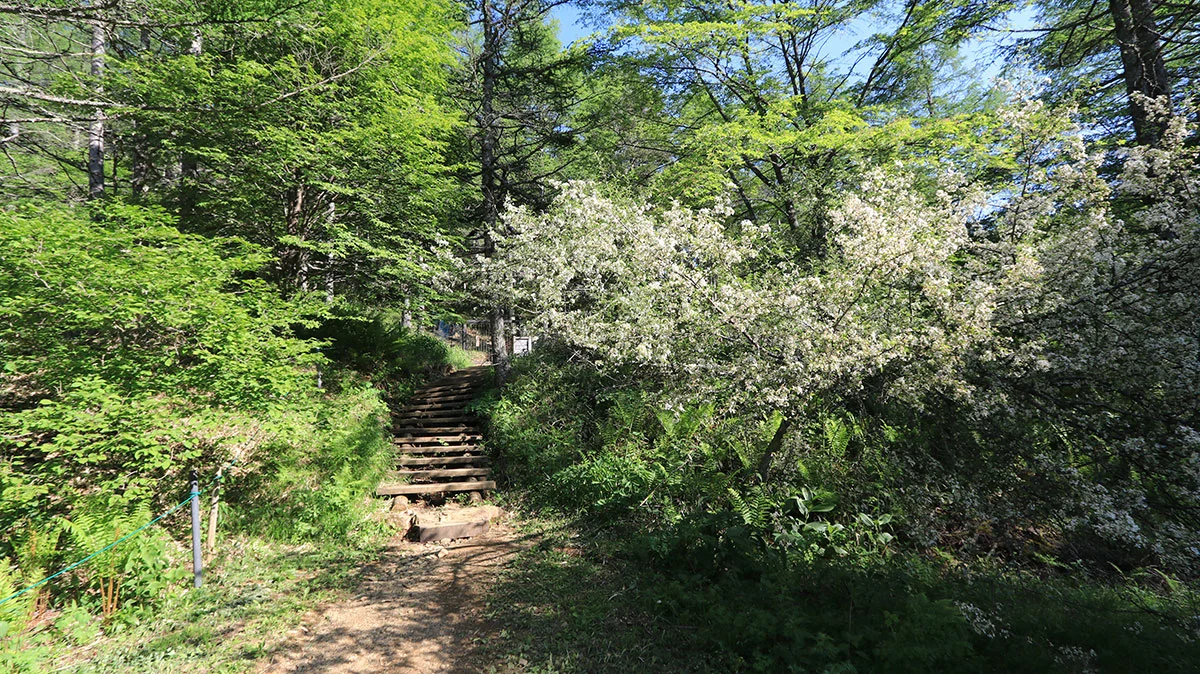 沢入登山口に戻る道