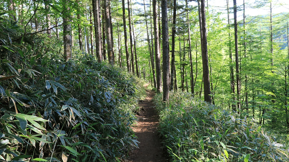 沢入登山口への道