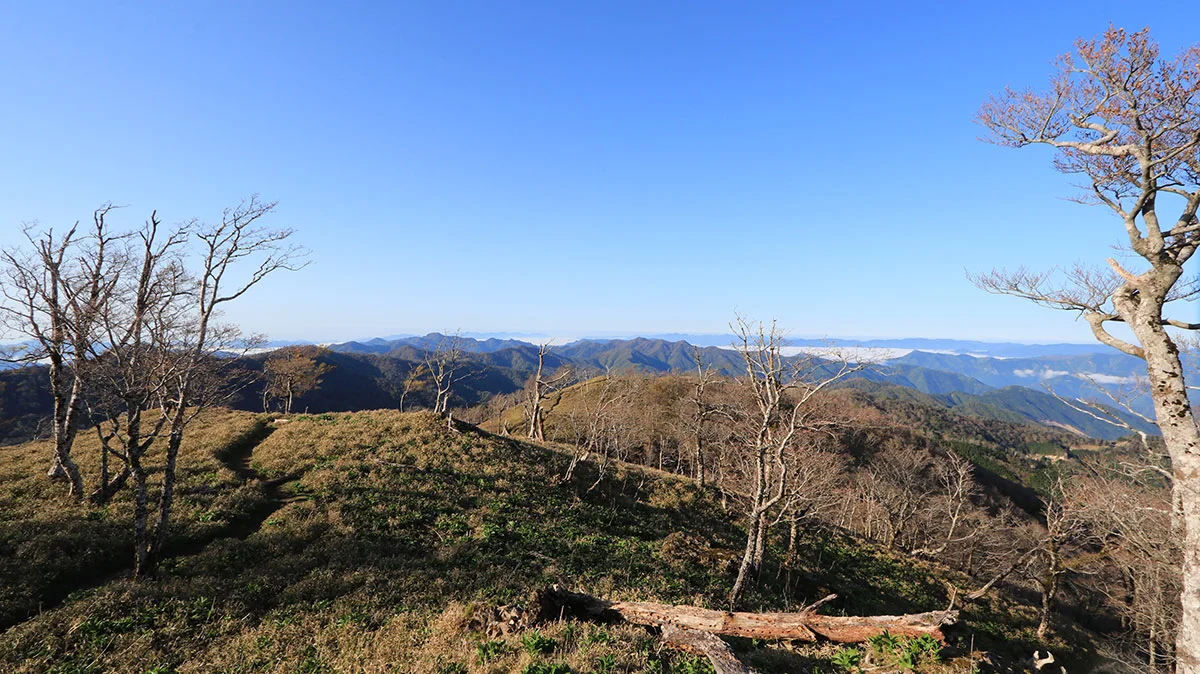 古田の森からの眺望
