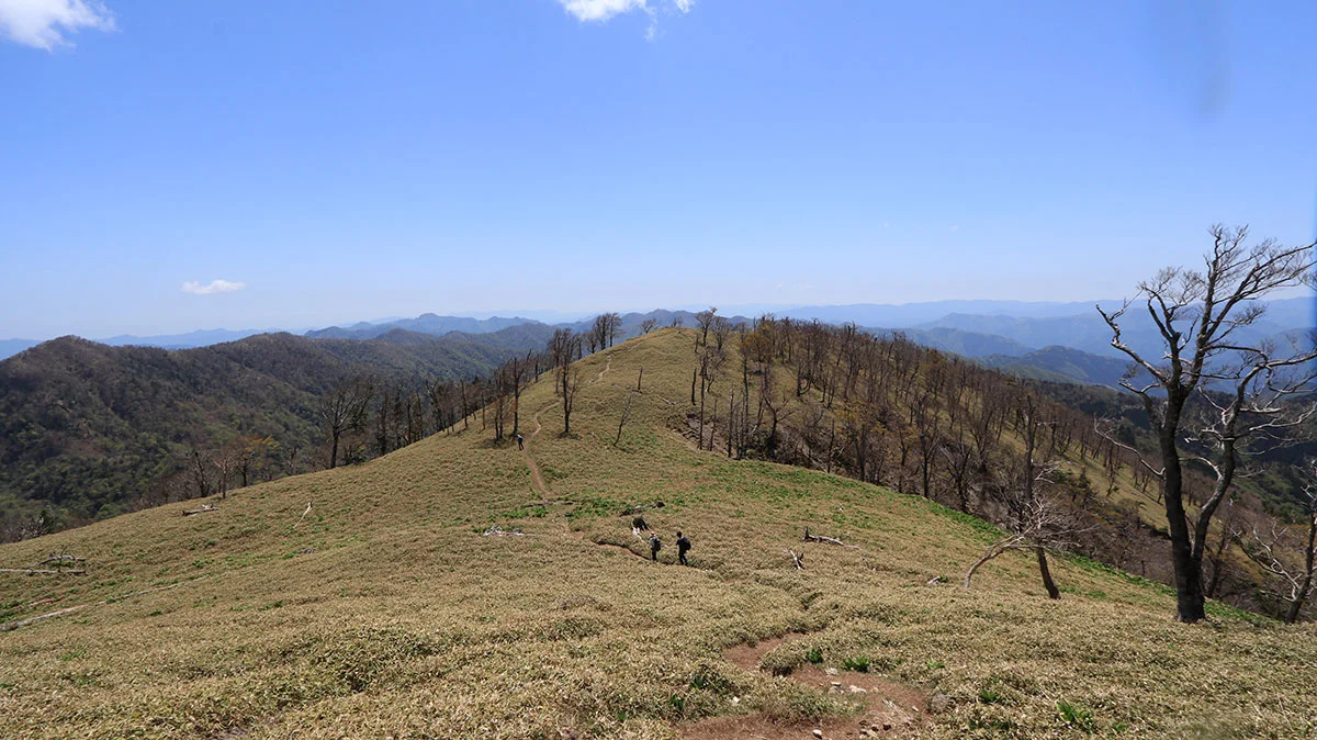 見通しの良い道