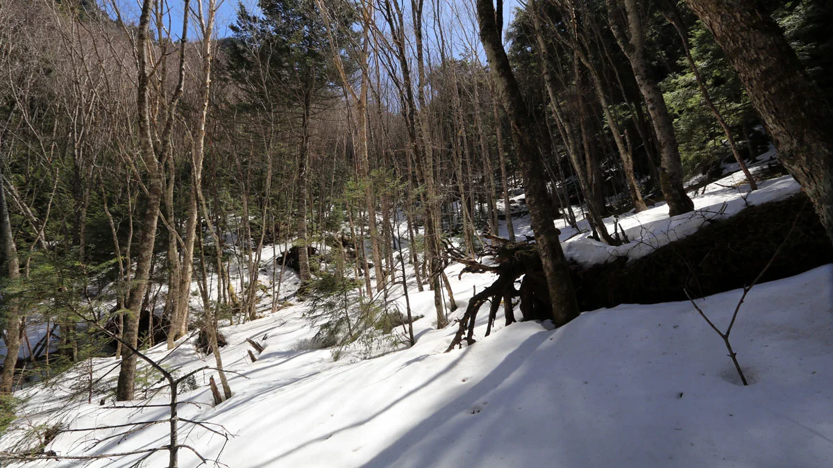 周囲を雪に囲まれた景色
