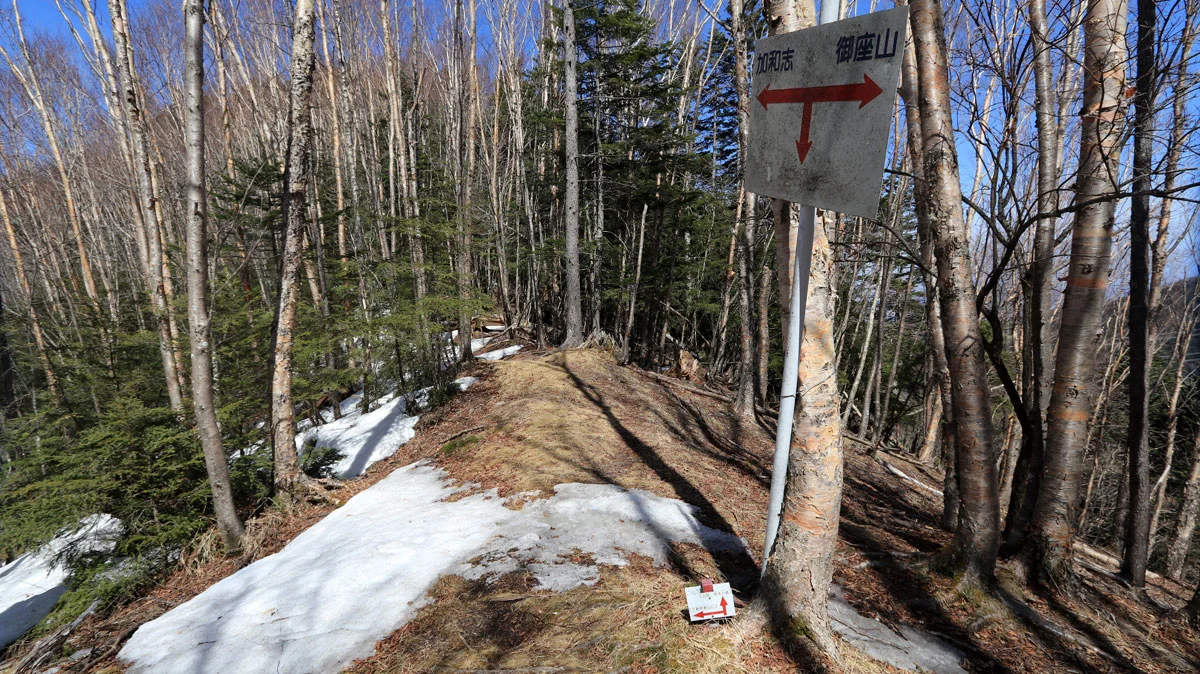 御うだの沢のトーミ