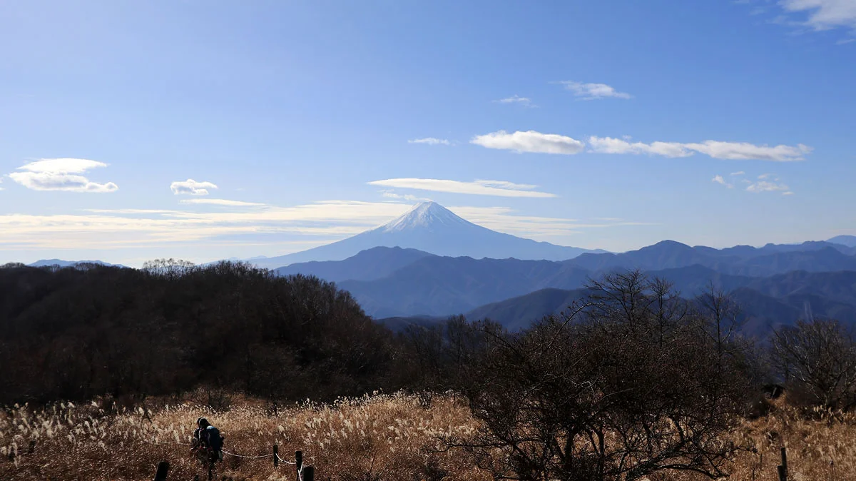 大蔵高丸からの富士山