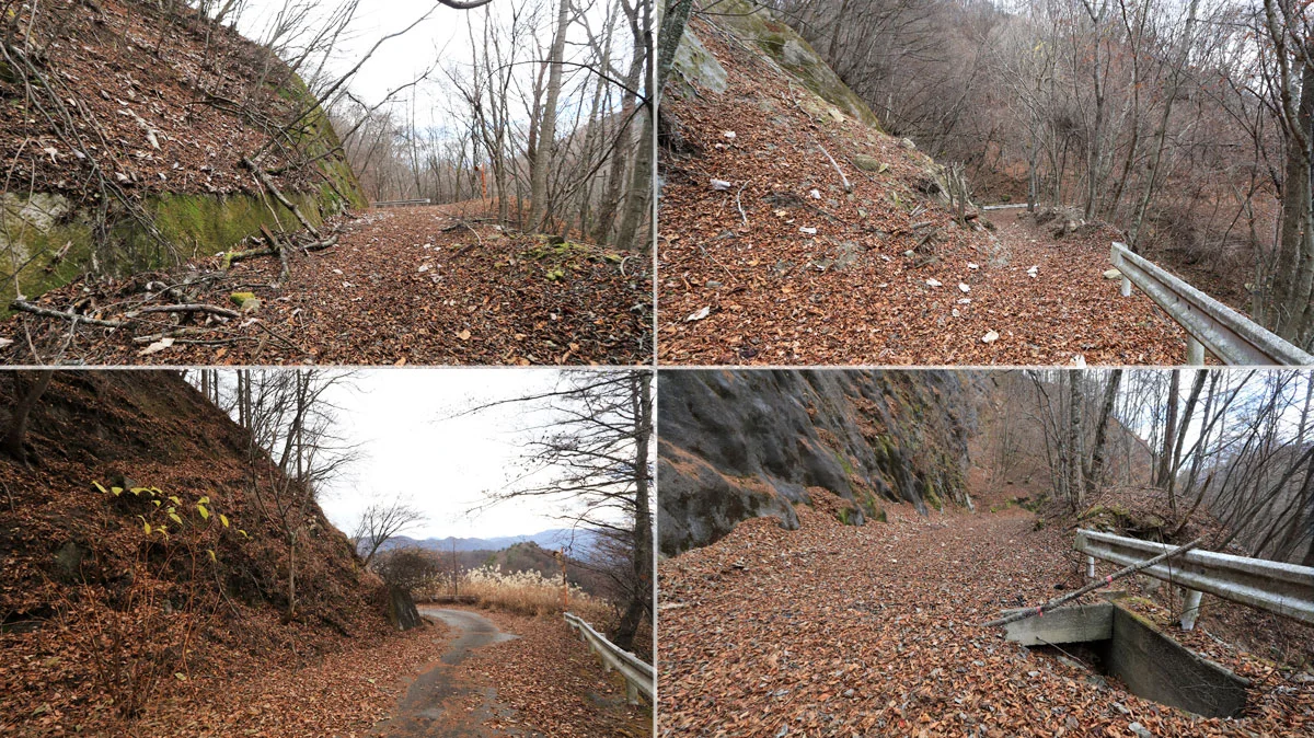 荒廃した大蔵沢大鹿林道