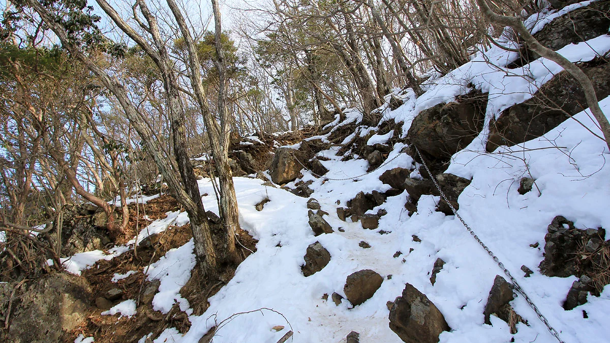 ススキのある登山道