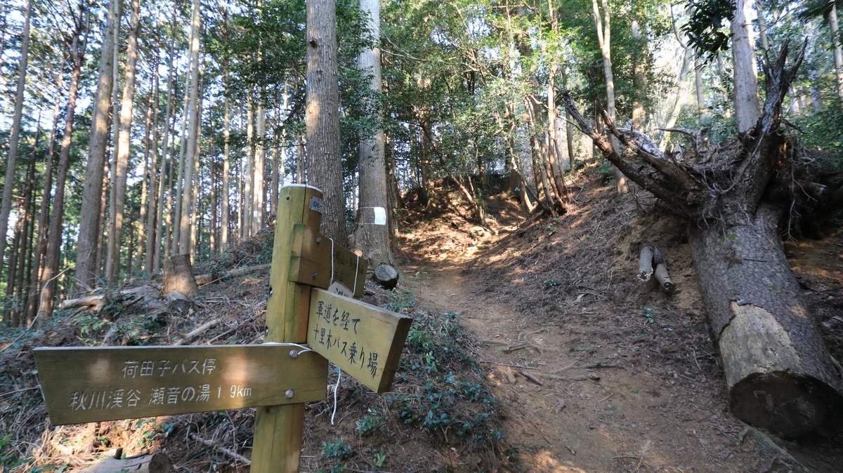 軍道から登る登山道との合流地点