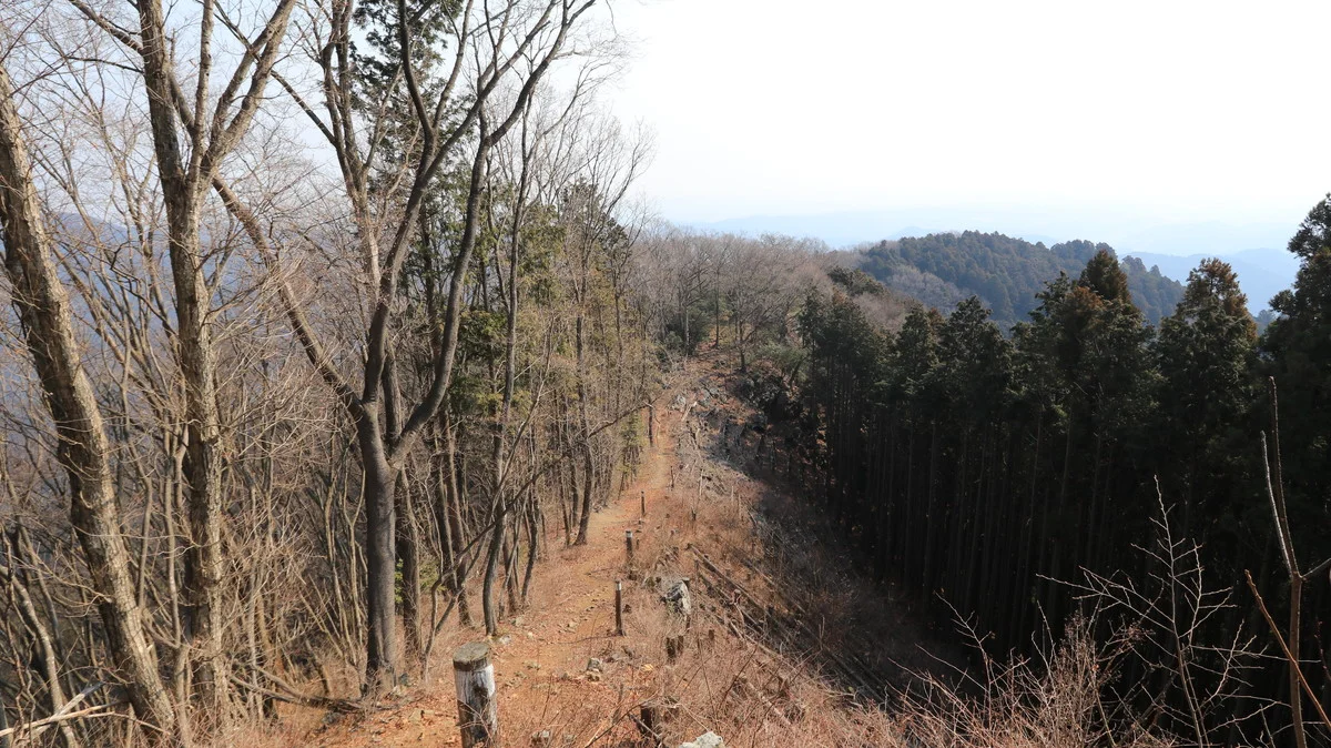 馬頭刈山最後の上り道