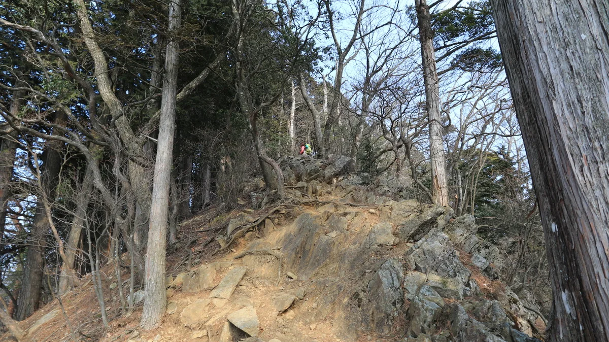 奥ノ院への上り道