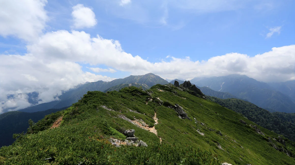 岩に向かって伸びる道