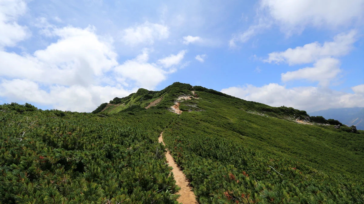 緩やかな縦走路の登山道