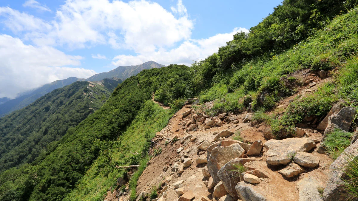 大下りノ頭直前の登山道