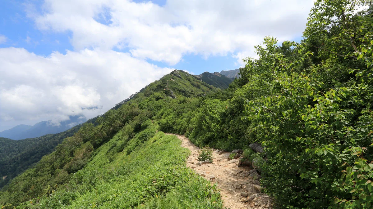 大下りノ頭と大天井岳の間にある鞍部
