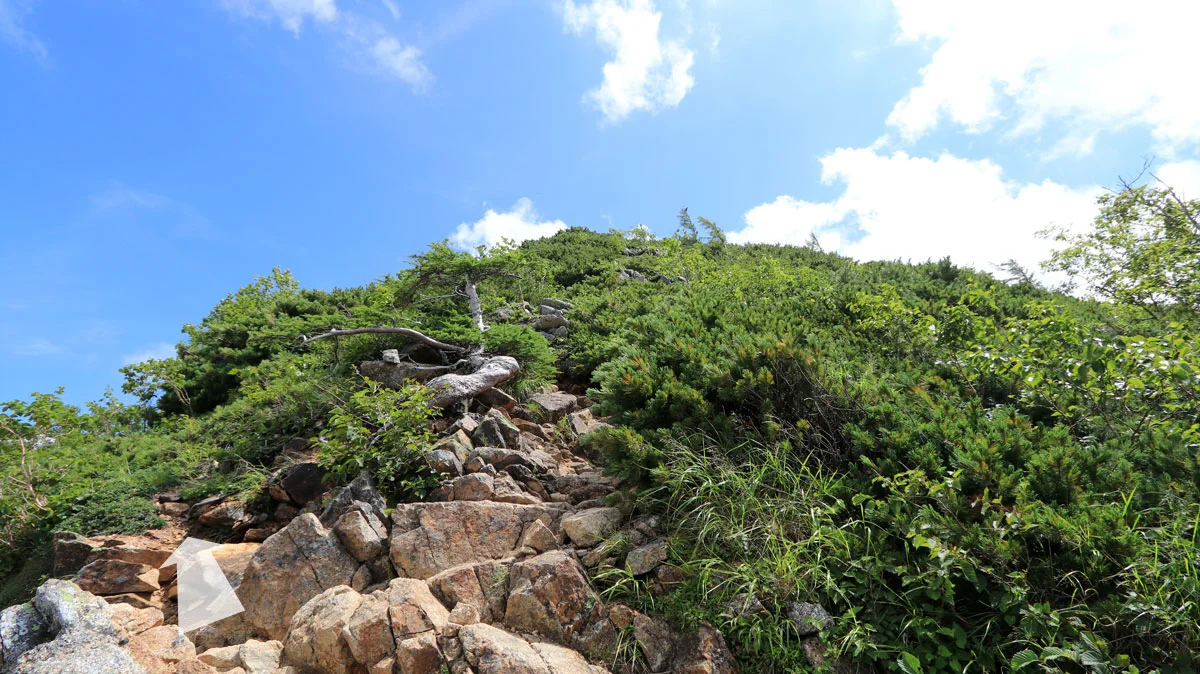 ピークを左側に巻く登山道