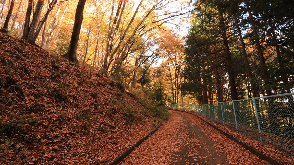大月カントリークラブ沿いの道