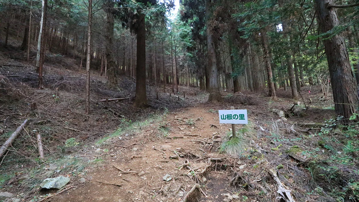 「山椒の里」と書かれた看板