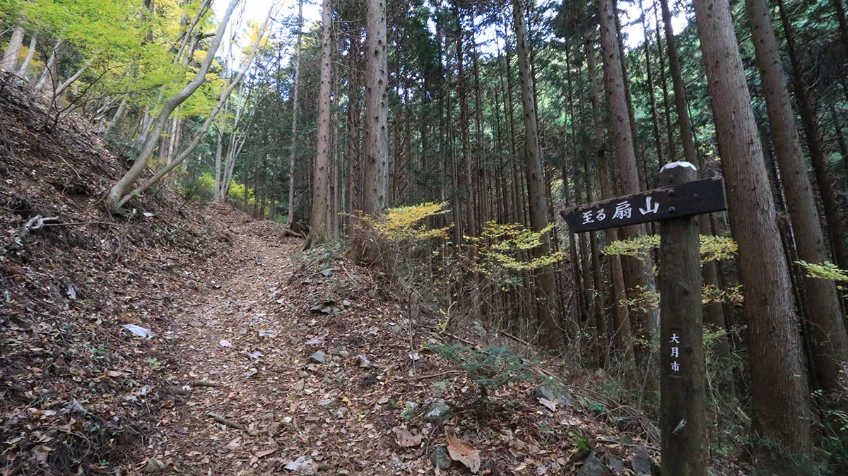 緩やかな傾斜の登山道