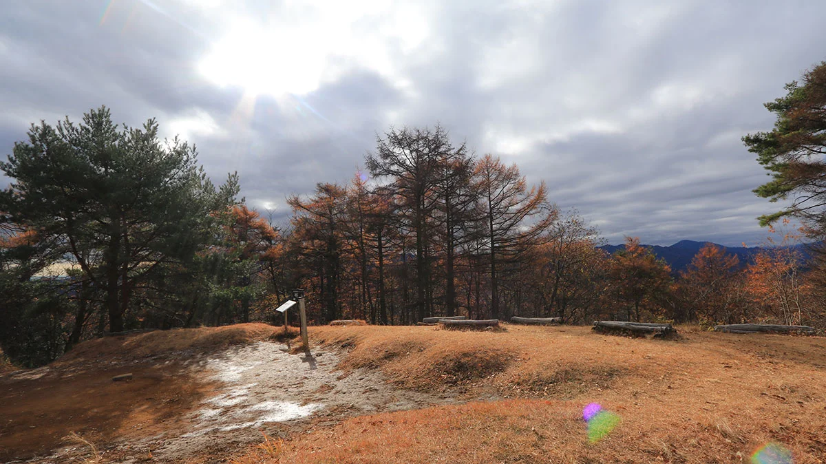 コダラ山・扇山への分岐地点