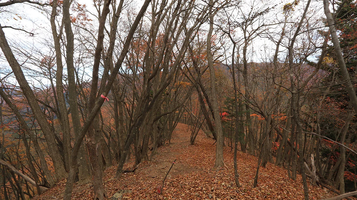 高度維持の平坦な道