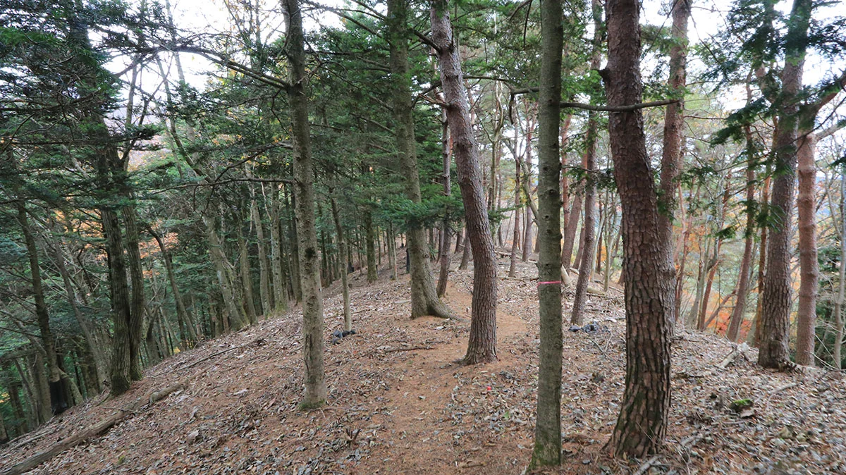 浅川峠直前の道
