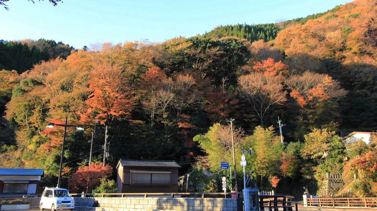 大山ケーブルバス停