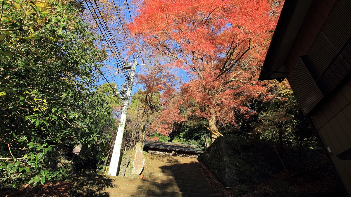 八意思兼神社への階段