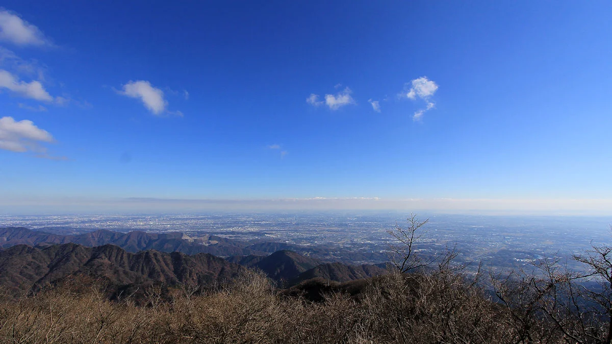 横浜市街地の展望。