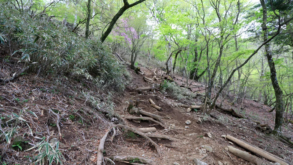 崩壊した木の階段