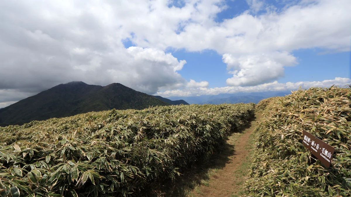 雨ヶ岳
