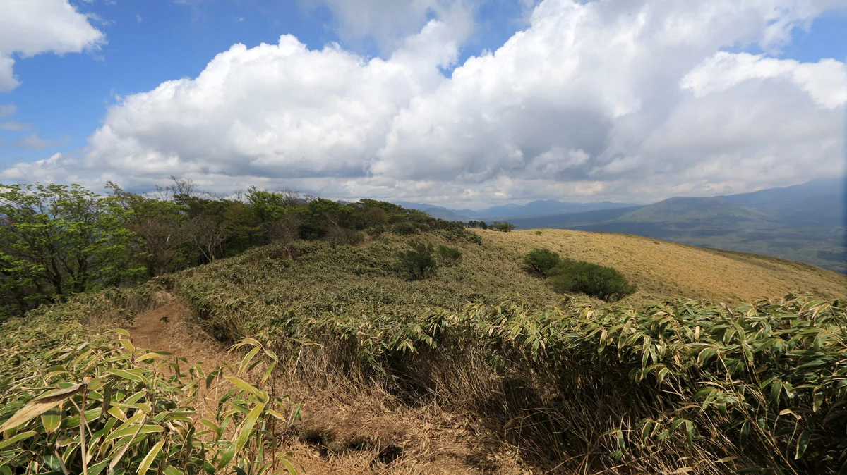 山頂付近の登山道