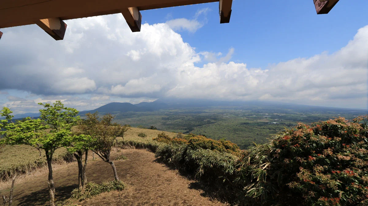 展望台からの展望