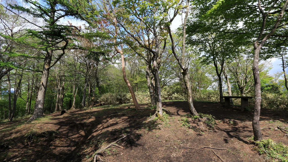 ベンチのある広場